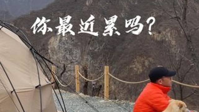 你最近累吗？ #生猛露营 #露营 #解压 #沉浸式露营 #情感语录