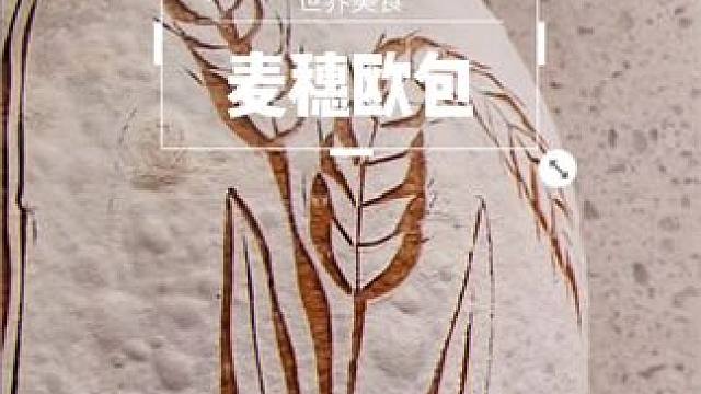 早餐这样的欧包会不会舍不得吃掉呢？#面包 #治愈系美食 #欧包割纹 #烘焙 #新鲜出炉