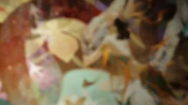 这个版本我一刻都待不下去了，太香了#战双帕弥什 #游戏内容风向标 #动作游戏