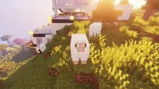 #Minecraft #我的世界