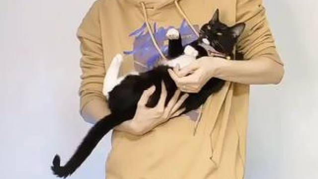 上车#光与夜之恋 #萧逸 #男友风 #浅跳一下