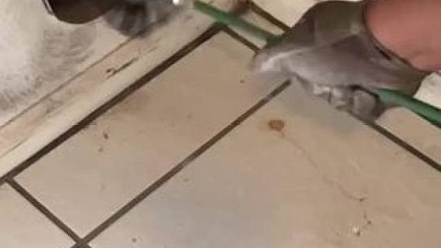 我发布了一个新视频，快来围观吧！