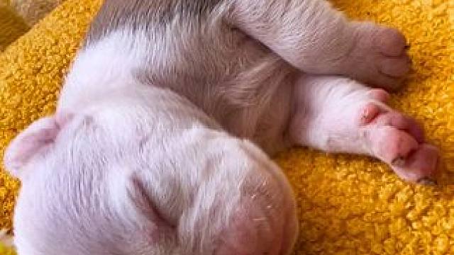 我发布了一个新视频，快来围观吧！