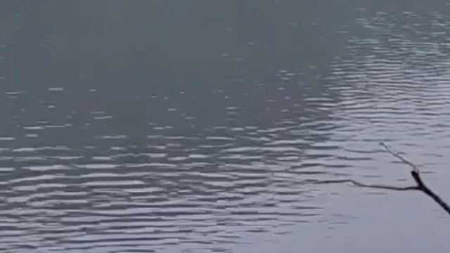 头次见猴子失手[笑哭]