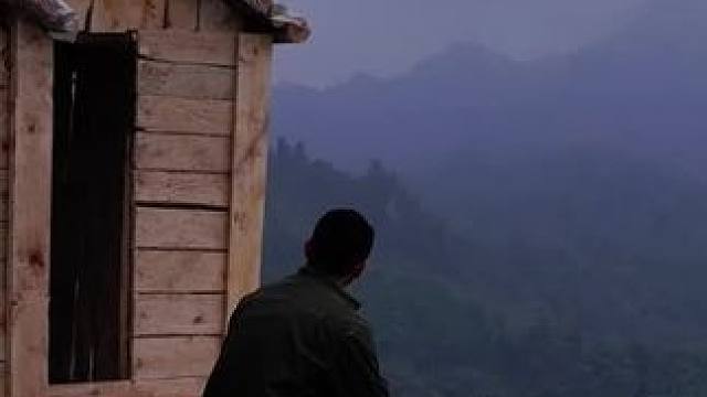 建造山间木屋独居 #荒野建造 #野外建造 #庇护所