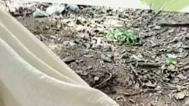 意想不到的结局~