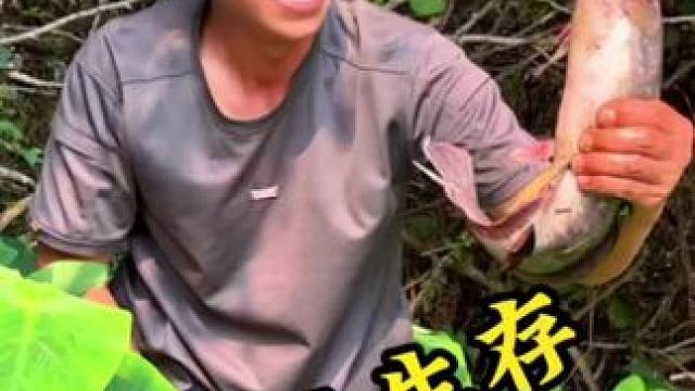 野外生存第二十一集 #野外生存 #春养生显眼包 #劲酒 #不止好酒更有健康 #钓鱼喝什么