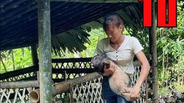 女孩在大山深处收获小姜黄和蔬菜，带到集市上收获了顾客一致好评 #我的乡村生活 #三农 #山野自然