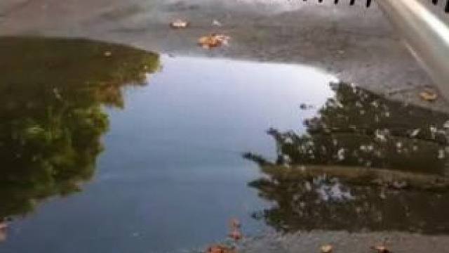 我发布了一个新视频，快来围观吧！