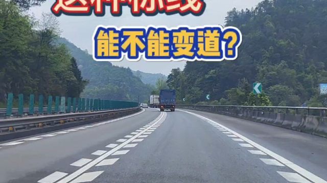 这三种标线你都认识吗？能不能变道？新手朋友要明白