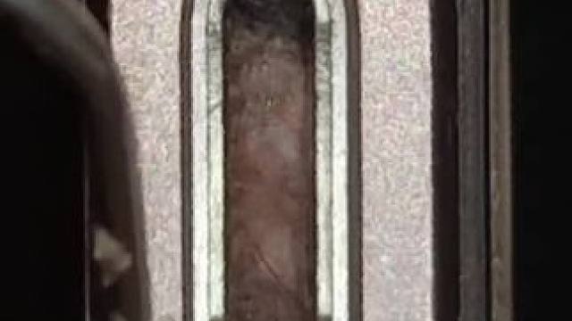 我发布了一个新视频，快来围观吧！