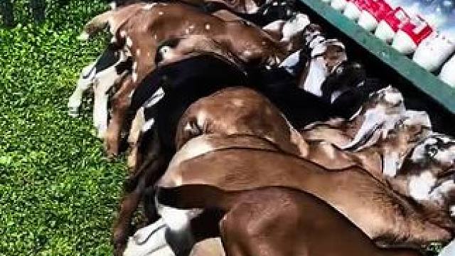 我发布了一个新视频，快来围观吧！