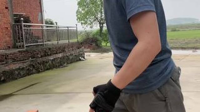 不带手套都不敢打了#寸拳#寸劲#发扬传承精武精神