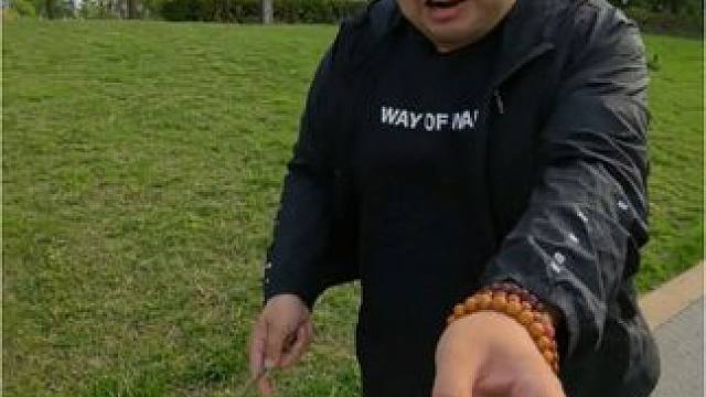 行情不景气，路边碰运气！#梦幻西游 #回合制 #8090 #游戏