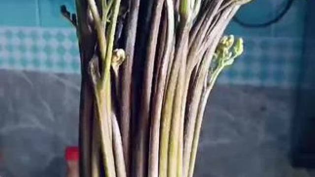 今天吃了这个菜吗？#妈呀太香了 #春日好食光