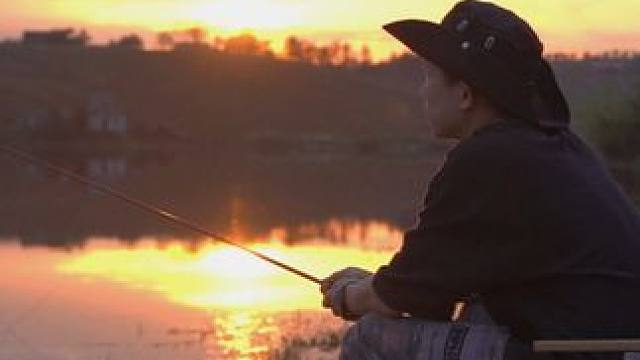 猫不快乐，九条命就不是件好事 #露营⛺ #户外露营 #治愈系 #情绪短片 #慢生活