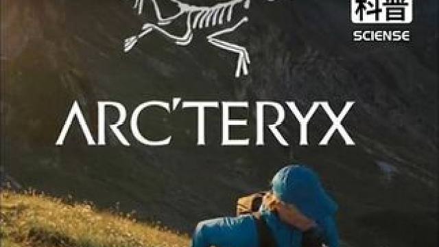 男人的“黑丝”凭什么是上万的鸟？揭露收割中产的底层密码… #始祖鸟 #社会 #商业思维 #中产 #户