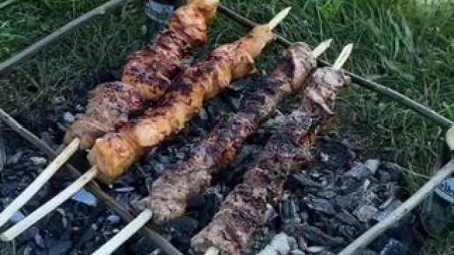 不花钱的烤肉架#露营报告 #露营技巧报告 #烧烤烧烤吃起来