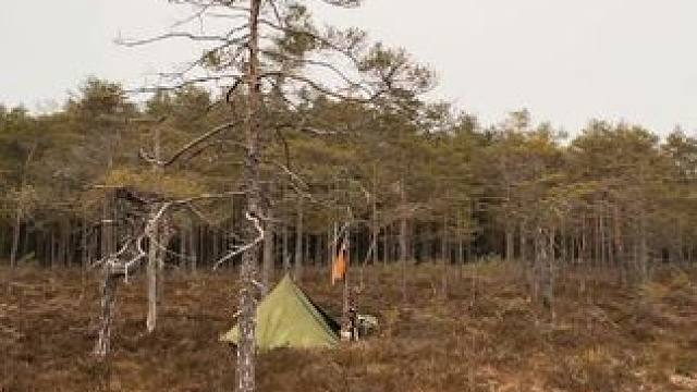 走进荒野#露营报告 #野营 #户外