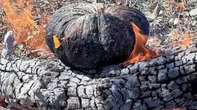 南瓜黄鳝煲 #农村生活 #原始美味 #乡村味道 #东南亚美食 #地方特色美食