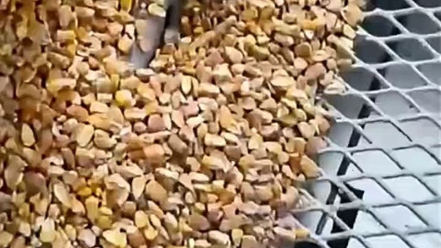 可爱的小手[捂脸]