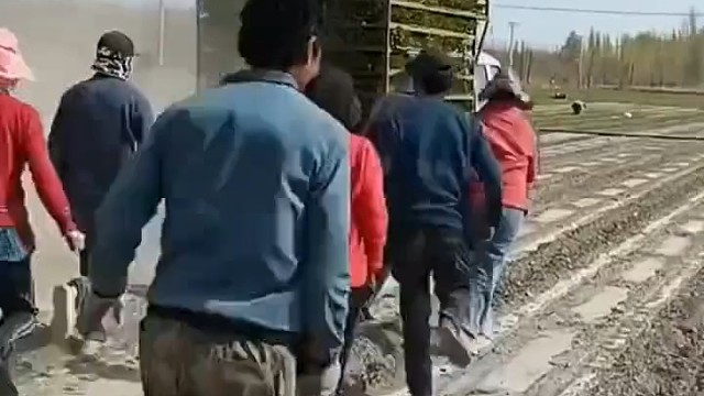 有谁知道，干嘛要抢呢？