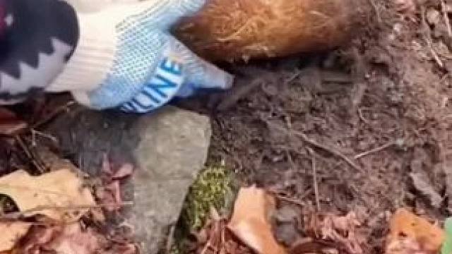 #实用小妙招 #生活小妙招 #实用小秒招 #管道疏通剂 #生活小常识