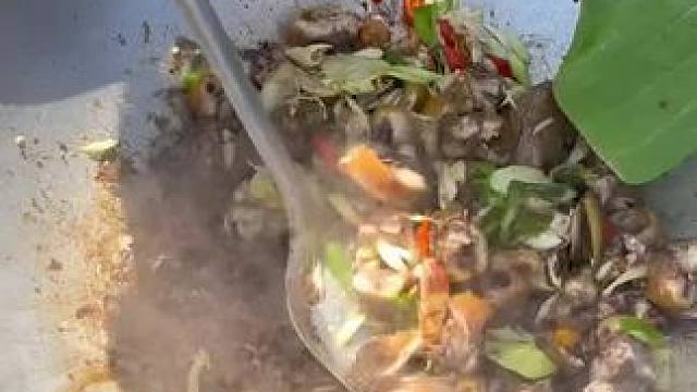 户外野炊 #乡村味道 #农村生活 #这么好玩的泼水节你确定不来吗 #原始美味 #东南亚风情