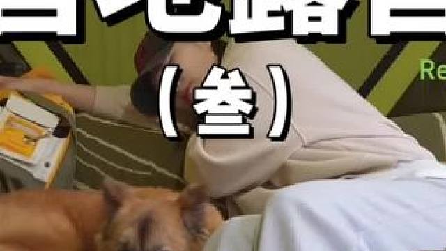 营地露营（叁）
带着狗子找一个花枝招展的营地露营，狠狠玩他个两天~
 #露营 #萌宠 #助眠 #户外