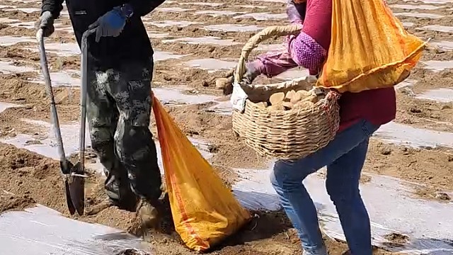 配合的密切[赞]