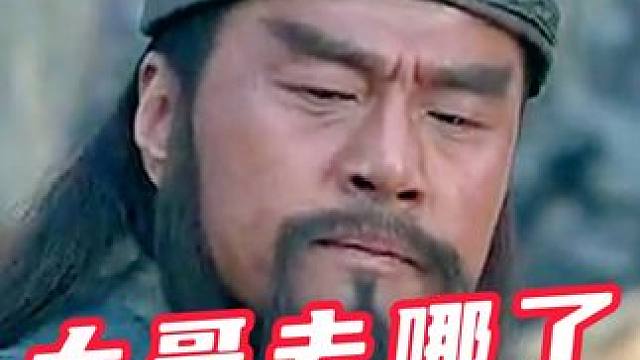 鬼畜剧场-搞笑三国-大哥去哪了 #鬼畜 #新三国 #三国 #搞笑 #魔改剪辑