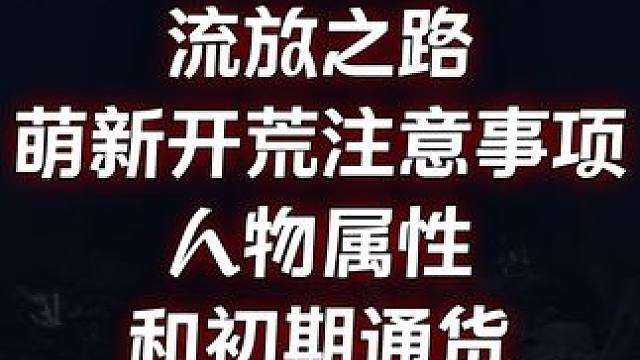 流放之路萌新开荒注意事项    人物属性和初期通货 #流放之路 #steam游戏 #游戏搬砖 #暗黑