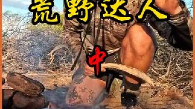 男人竟然利用它获取水源，长见识了#荒野生存 #野外露营 #野外探险