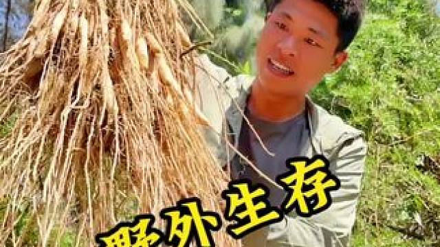野外生存第二十二集 #户外 #野外生存 #海岛生活 #流浪