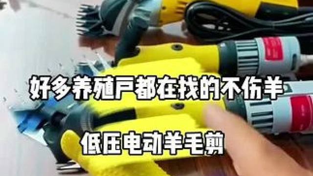 #剪羊毛 #久昂羊毛剪 #农场剪羊毛