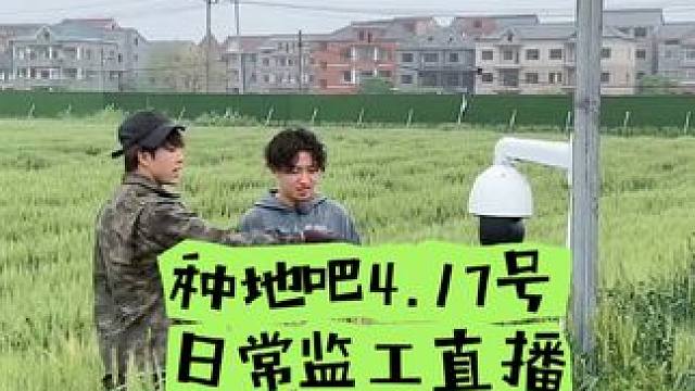 #种地吧# 种地吧4.17号日常监工直播完整版回看下集#十个勤天#  ]#山高鹭沅# [#何赵##种