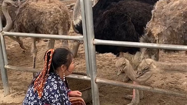 这虎婆娘。厉害了