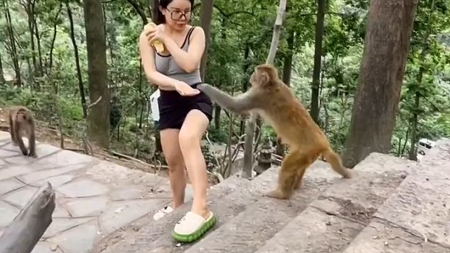 敢这样，不怕抓伤