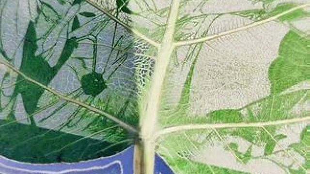 深痕你能不能顶得住压力就看明天了#战双帕弥什 #战双2024新年快乐