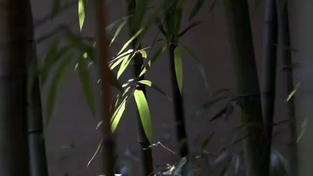 去心头之欲，而至空灵之境。
窥天地之奥，而达造化之极。
#乔山泓济文化 #乔山泓济逻辑思维 #乔祥鹏