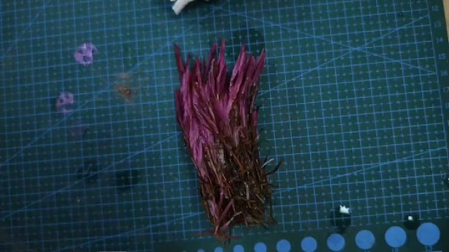 聊聊为什么你的新草缸水草状态不好甚至挂掉