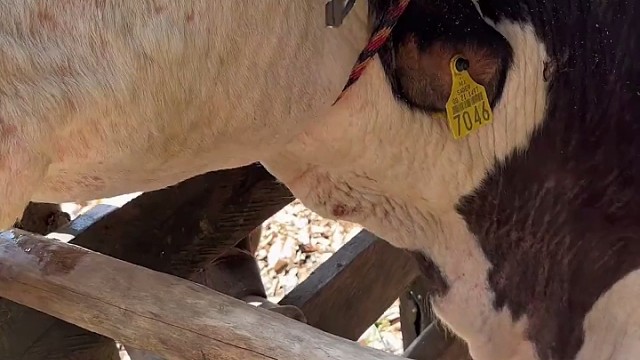 唉，差点死在自己的牛角尖上