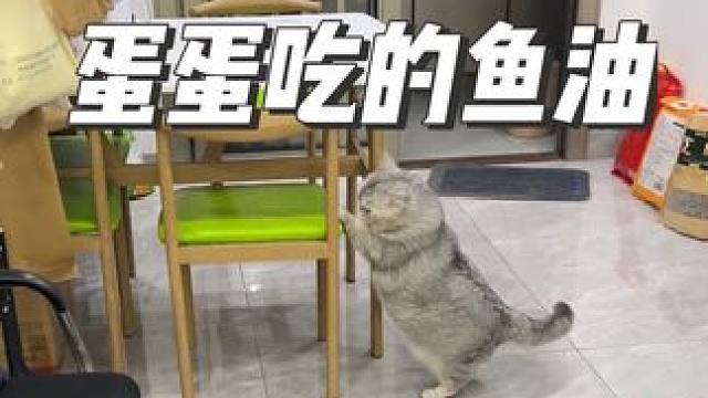 这个鱼油适口性真的好，很推荐！蛋蛋自己吃一年左右了。 因为当初我在给蛋蛋寻找它愿意吃的鱼油所花的时间