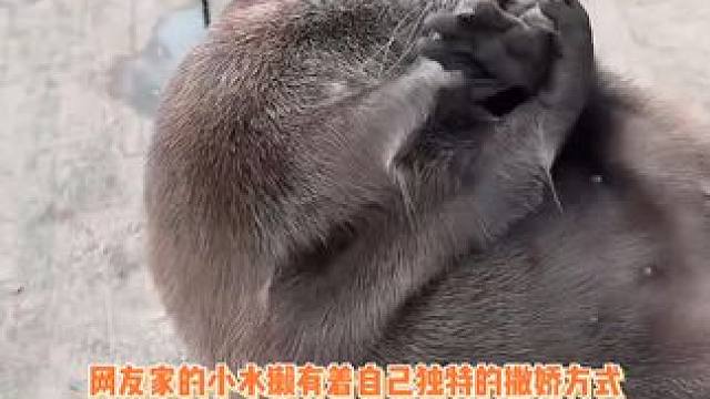 宝宝你上辈子是一个滚筒洗衣机叭~~