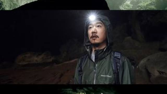 来自广西的震撼！是地心洞穴的侏罗纪公园#大自然的鬼斧神工 #侏罗纪公园