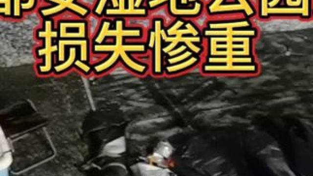 露营遭遇狂风暴雨，损失惨重 #床车自驾 #床车旅行 #户外露营