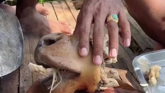 牛头宴 #牛头宴 #东南亚美食 #东南亚矮子 #乡村味道 #乡村守护人