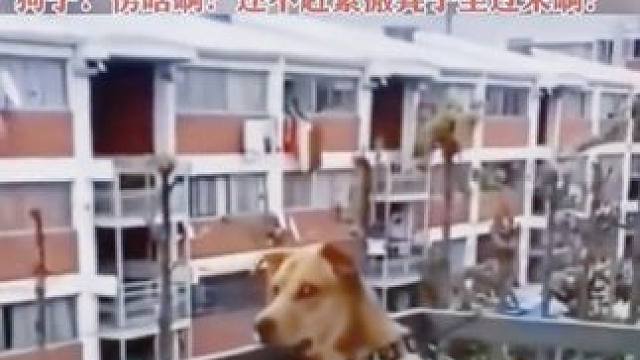 #我的观影报告 #万万没想到 #看一遍笑一遍 #每天一笑烦恼忘掉 #意想不到的结局