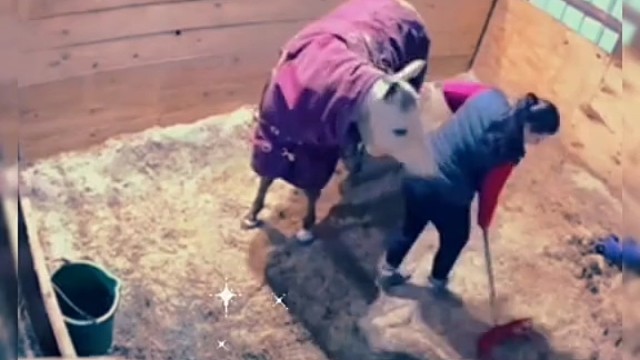 这马真调皮 好好玩