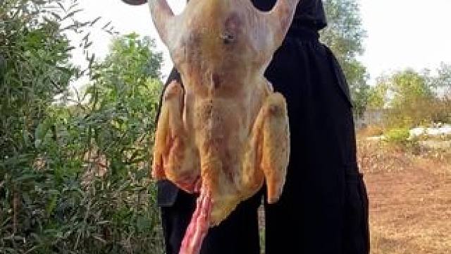 #农村美食 #乡村味道 #烹饪 #流口水 #鸡